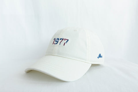 Slip77 Dual Hooks Patch Hat